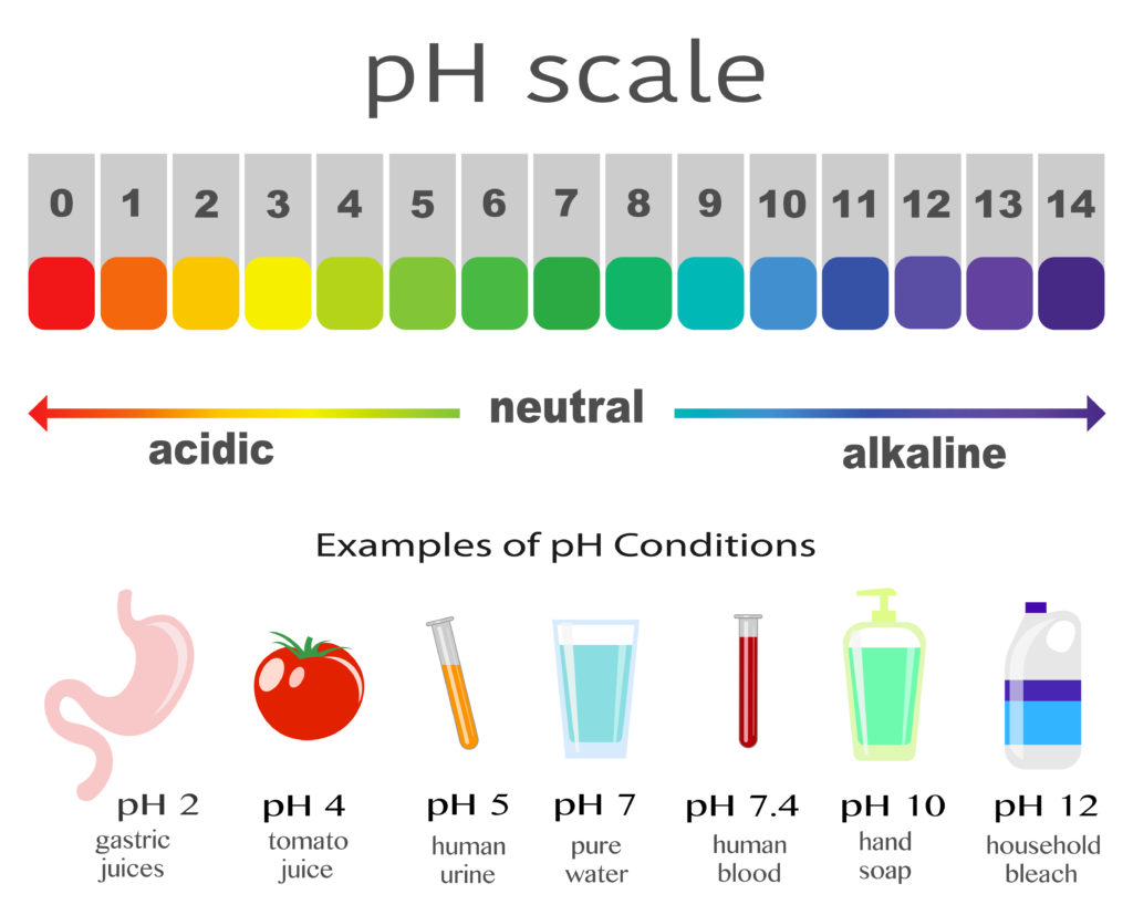 Jc Acids Base Equilibrium – Chemanywhere